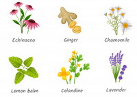 Does TCMfans.club supply herbs or herb recipes?