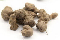 Omphalia