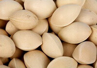 Semen Ginkgo