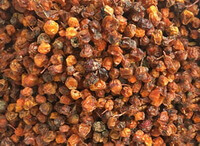 Fructus Hippophae