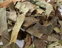 herb pieces of Loquat Leaf