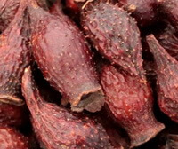 diversi frutti secchi rossastri scuri Cherokee rosa frutto