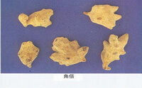 yellowish herbs of Galla Chinensis