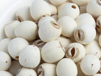 whitish herb kernels of Lotus Seed are piled together