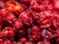 many reddish dried oily berries of Chinese Magnoliavine Fruit