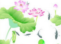 a colorful drawing of Nelumbo nucifera Gaertn.,green leaves,pink lotus flowers, and small carps in a pool