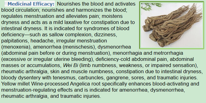 Medicinal Efficacy of Chinese Angelica Root, Dong Quai