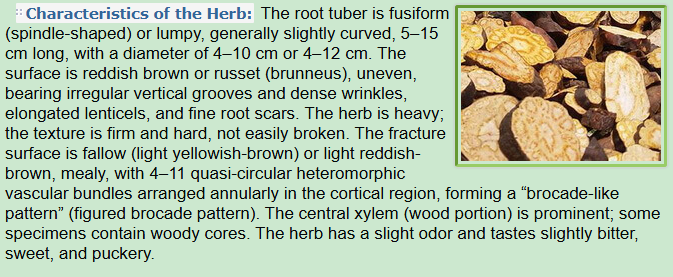 Characteristics of the Herb:Fleeceflower Root,Hé Shǒu Wū