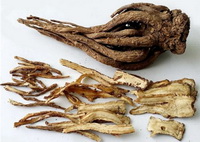 different parts slices of Chinese Angelica Root