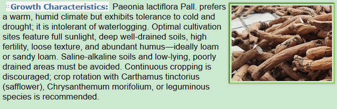 Growth Characteristics of Paeonia lactiflora Pall