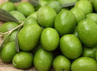 de nombreux fruits verts de Canarium album Raeusch sont empilés avec quelques feuilles
