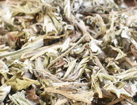 Herba Potentillae Discoloris