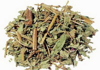 Herba Patriniae