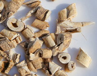 Cortex Dictamni