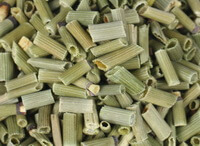 segmenti erbacei essiccati di colore verde chiaro dell erba comune del giunco lavatore
