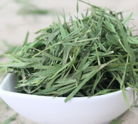 dried herbs of Lophatherum Herb