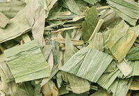 dried herb slices of Lophatherum Herb