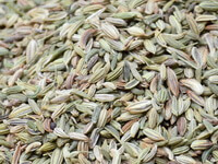 many pale green and light brownish Fennel Fruits are piled together