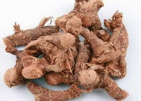 dried herb rhizomes of Rhizoma Alpiniae Officinarum