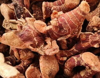 dried herb segments of Lesser Galangal Rhizome in a pile