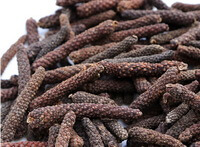 dried fruits of Long Pepper