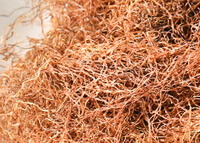 reddish Corn Stigma are piled together