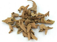 Folium Pyrrosiae