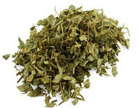 Herba Lysimachiae