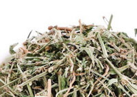 Herba Polygoni Avicularis