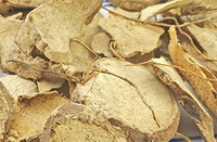 tranches jaunâtres séchées de rhizome d igname hypoglauque