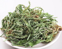 pale green dried herb segments of Plantain Herb with roots and spikes are piled together in a white plate