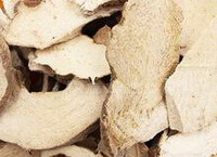 Rhizoma Dioscoreae Hypoglaucae