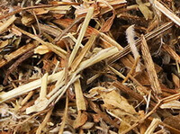 dried herb segments of Wilford Ganesbill Herb in a pile