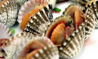molti molluschi cotti di Arca granosa Linnaeus in un piatto.