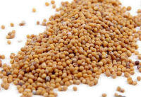 White Mustard Seed