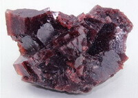 Sal Purpureum