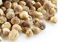 herbes séchées de la cardamome ronde