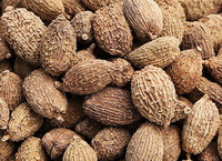 dried brown fruits of Green Shell Amomum are piled together