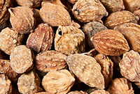 light brownish dried fruits of Longiligulate Amomum Fruit are piled together