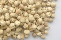 Semen Amomi Rotundus
