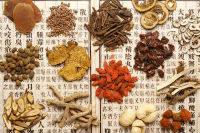Classifications of Herbs Icon 02
