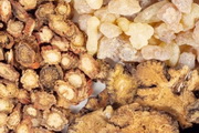 TCM Herbs Icon 10