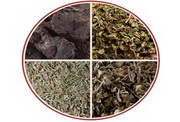 TCM Herbs Icon10