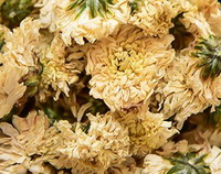 tørrede blomsterblade af Tribute Chrysanthemum, Gong Juhua