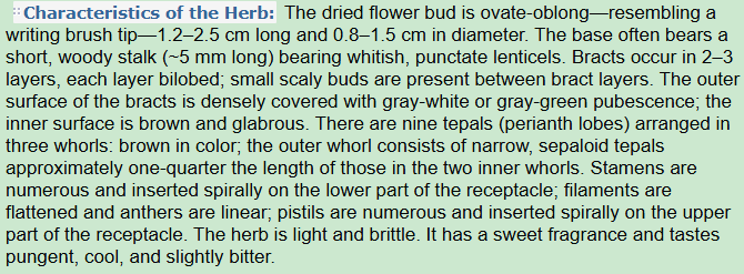 Characteristics of the Herb:Lily Magnolia,Biond Magnolia Flower