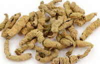 Rhizoma seu Radix Notopterygii