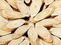 yellowish cultivated root slices of Astragalus Root