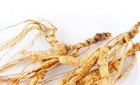 Radix Ginseng