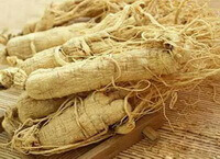 several yellow dried roots of Panax ginseng C.A.Mey.Garden Ginseng are piled together