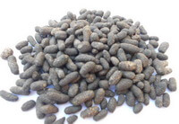 Faeces Trogopterorum